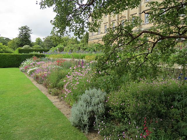 Howick Hall gardens